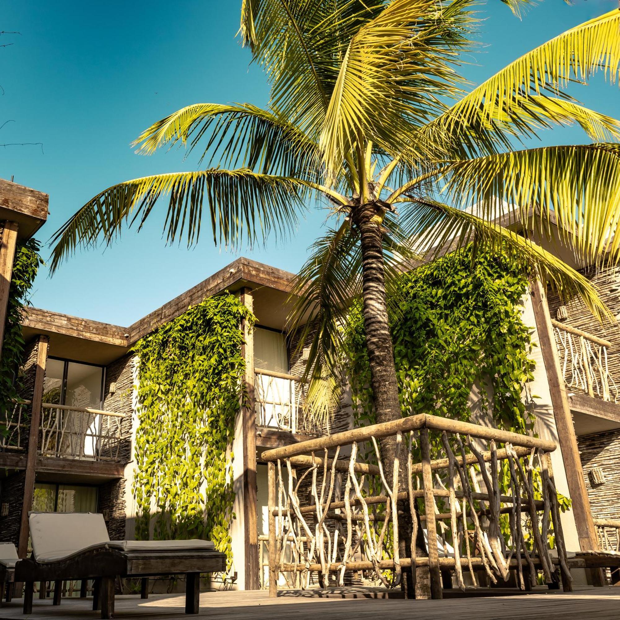 Apenunga Eco Hotel جيجوكا دي جيريكواكوارا المظهر الخارجي الصورة